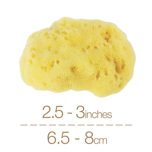 IntimateCare Sponges - 2x 6.5-8cm Bleached - Retail Packaging