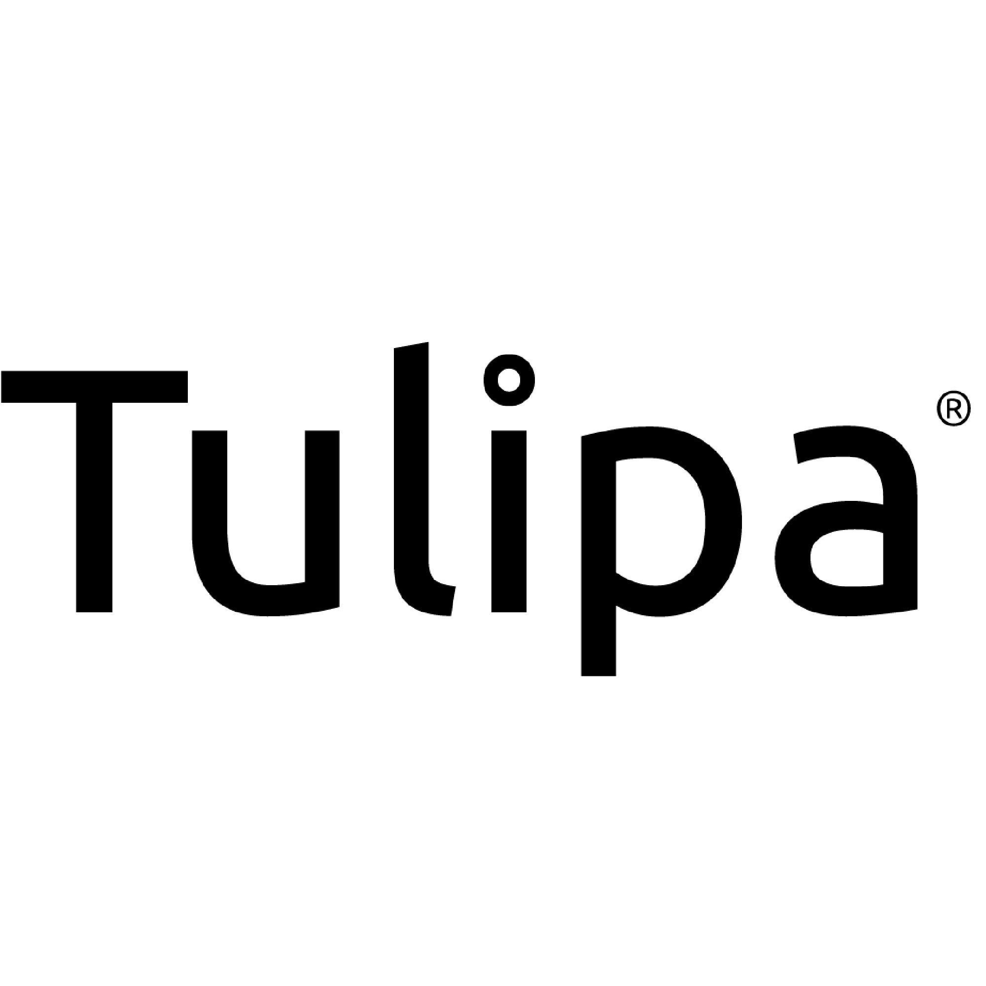 Tulipa